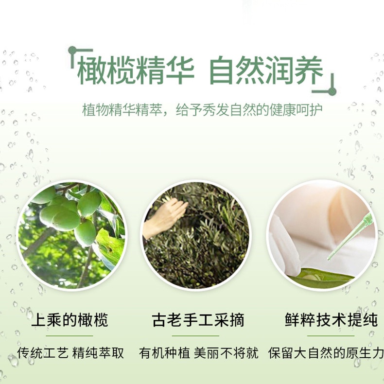 橄欖洗發(fā)水護發(fā)素套裝OEM代加工